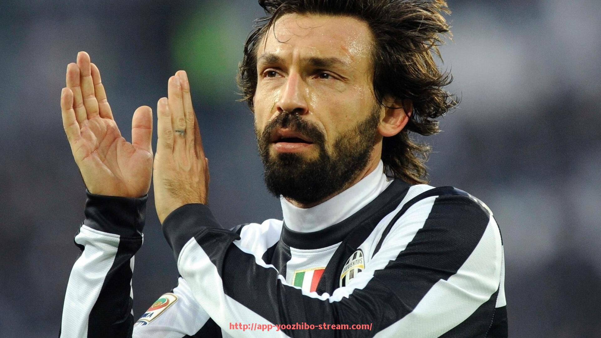 优直播-德甲球队主场球场分布图及设施对比表格